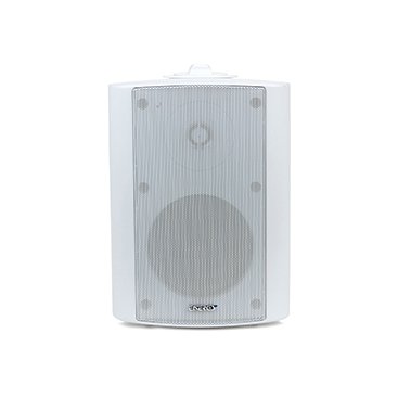 TK-CLASSIC-IO4 - indoor/outdoor speaker